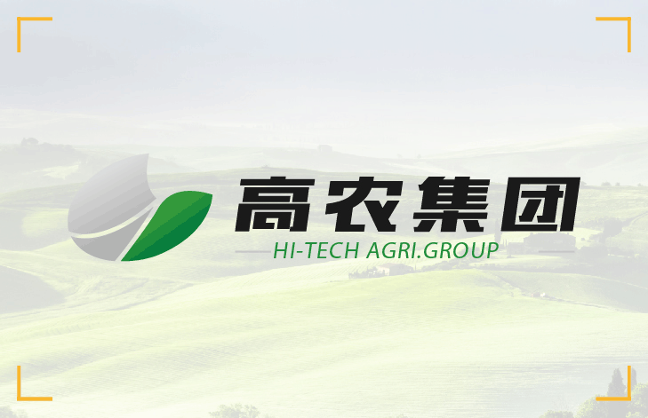 67381顶级娱乐(中国区)-游戏官方网站